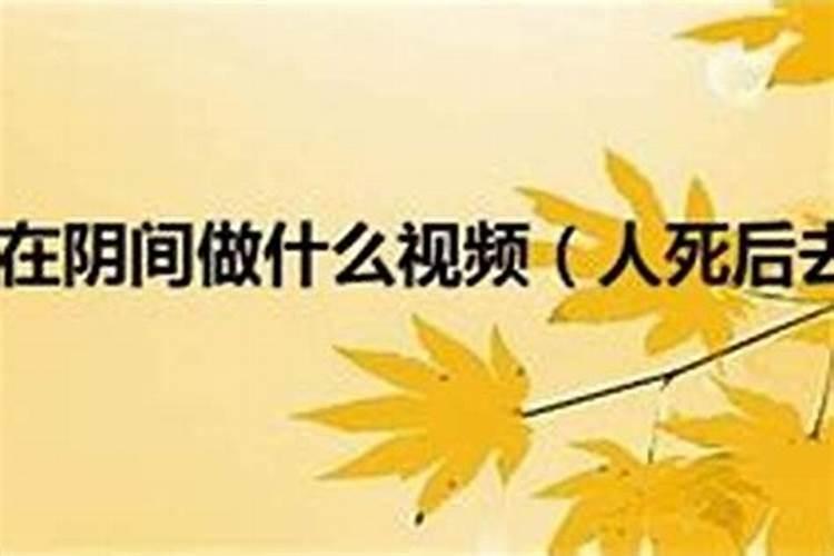 邢台种植大白菜最佳时间,中秋节邢台周边旅游