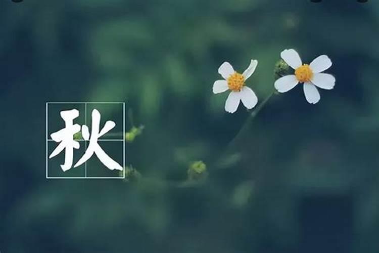 立秋后北方人有哪些传统食物习俗？
