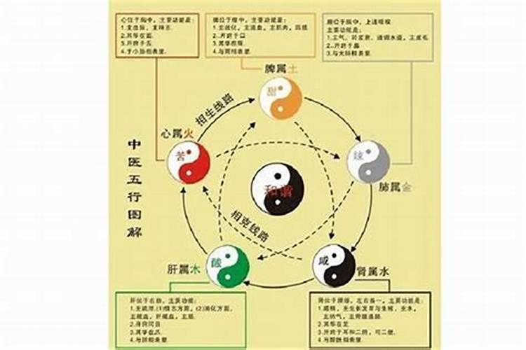 属蛇人犯太岁的化解方法