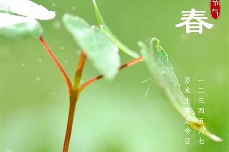 有关立春常见的习俗