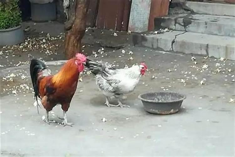 属鼠本命年能戴哪些饰物好呢 属鼠本命年佩戴什么好