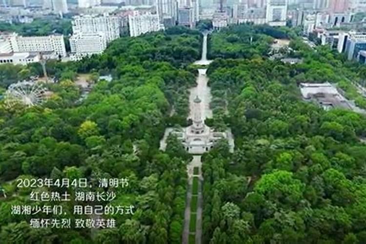 清明网上扫墓