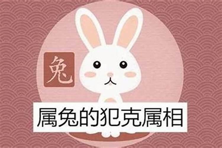 属兔的和什么属相犯冲