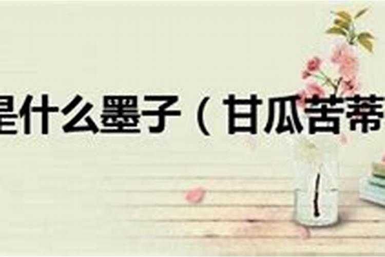 中 军事奇才领先方案打一生肖