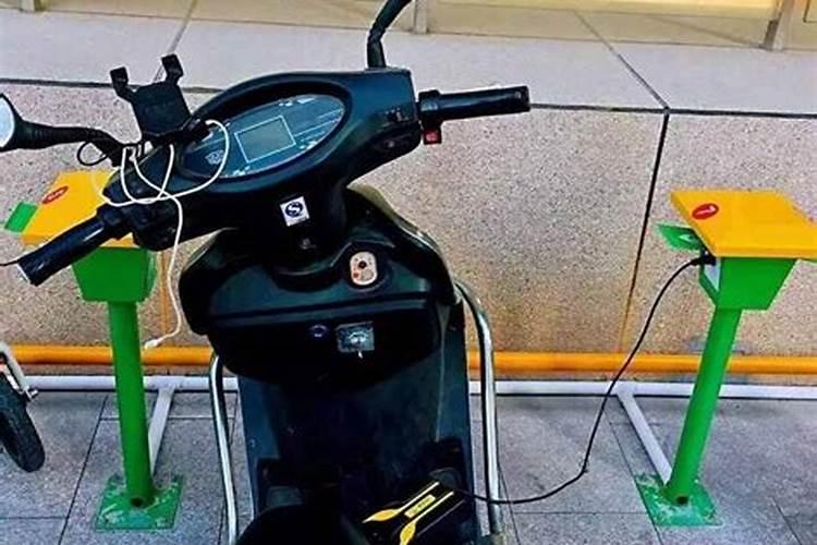 属鼠和兔子属相合不合