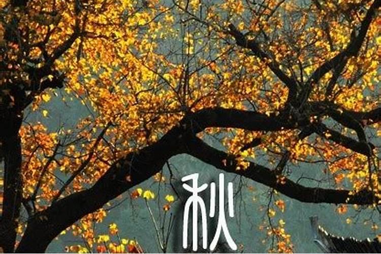 秋分的习俗