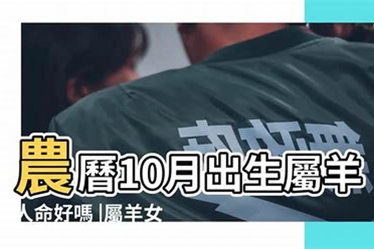 1991年农历10月15属羊男士运势如何