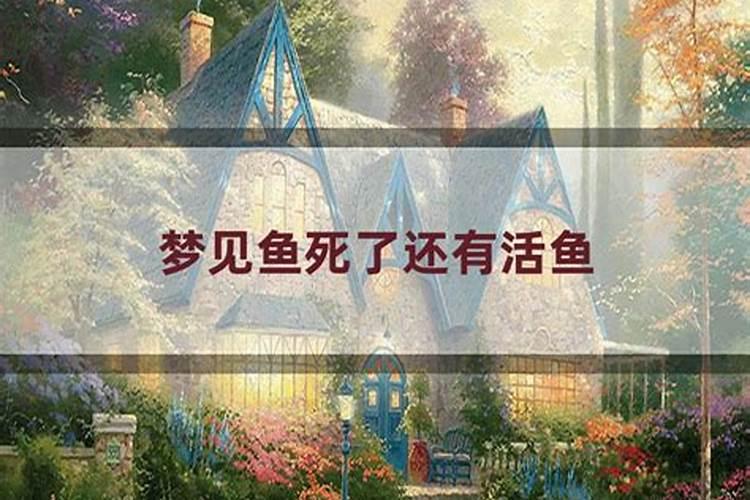梦见前夫要死了装棺材里运回家好不好？