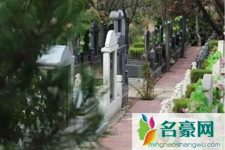 牛在2025年的每月运势如何呢