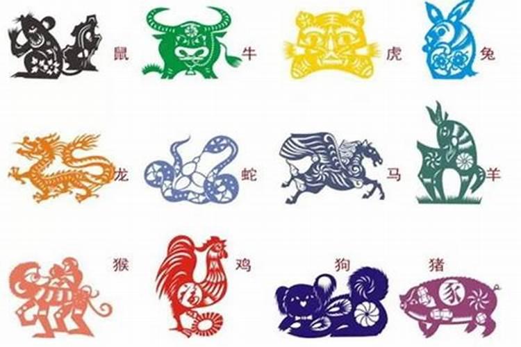 今天巳时出生男孩的命运如何？