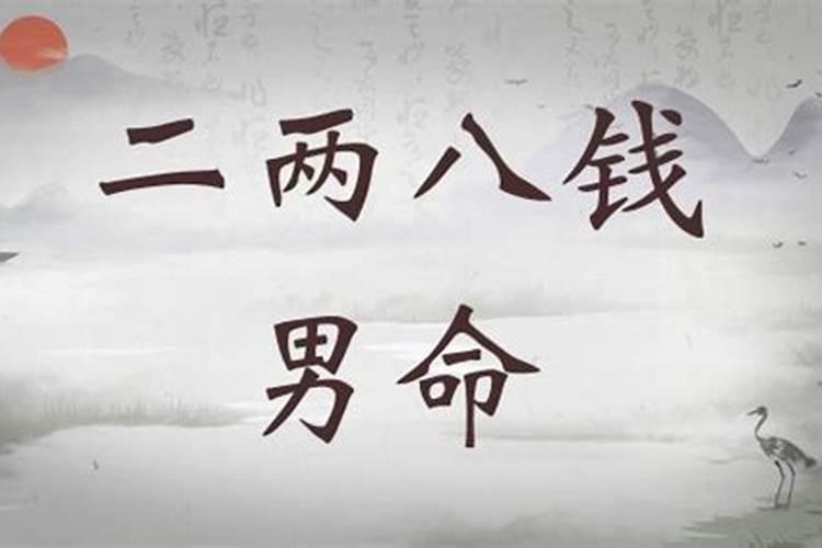 梦见好多动物是什么意思