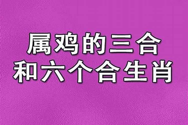属相鸡男和属相蛇女相配吗,男属蛇女属鸡相配吗