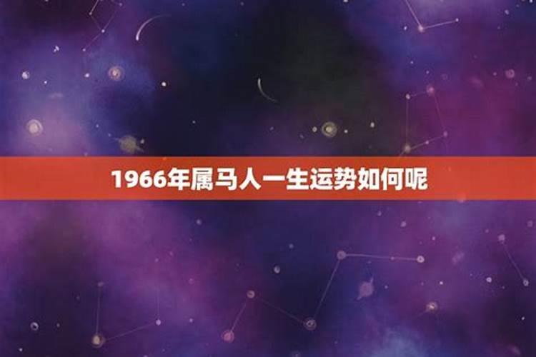 69年属鸡人在2025年的全年运势