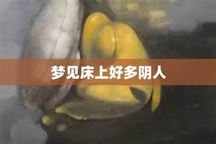 请教,宋朝女子冬天穿什么