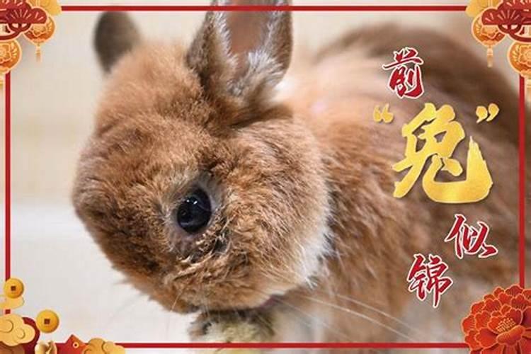 十二生肖属相婚姻配对