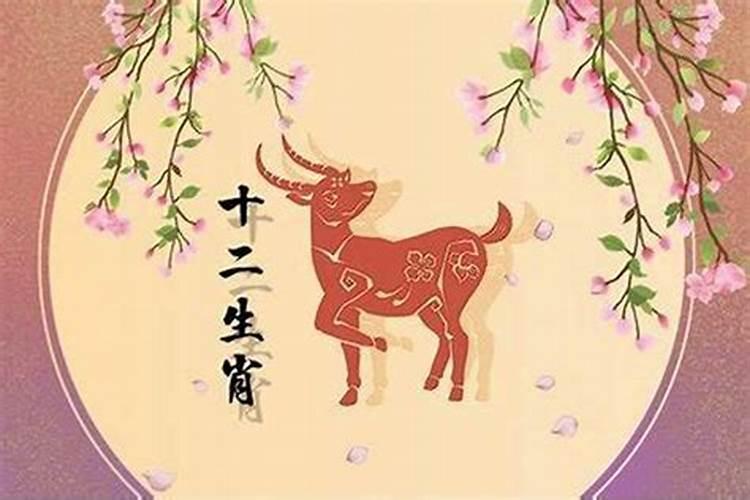 2025年属羊犯太岁吗
