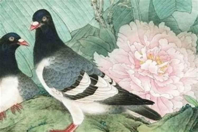 2025年4月4那个生肖运势最好
