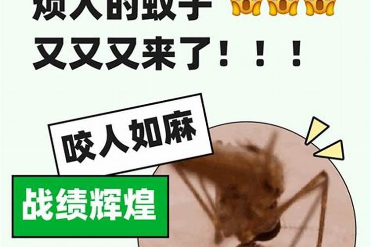 建阳有什么民风民俗