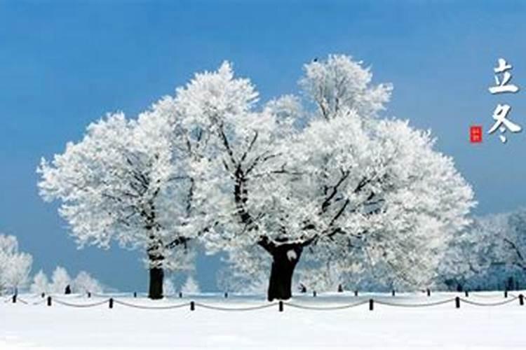 冬天雪景的优美句子