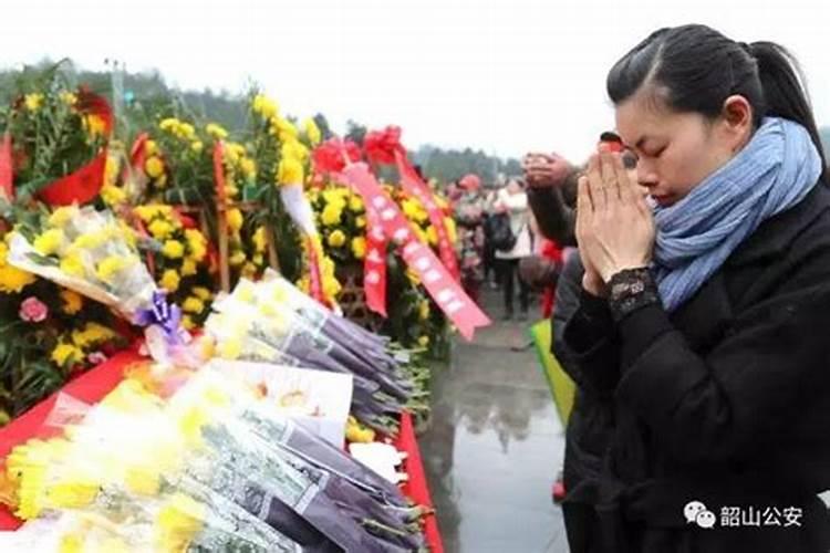 属狗人2025年每月运势及运程详解