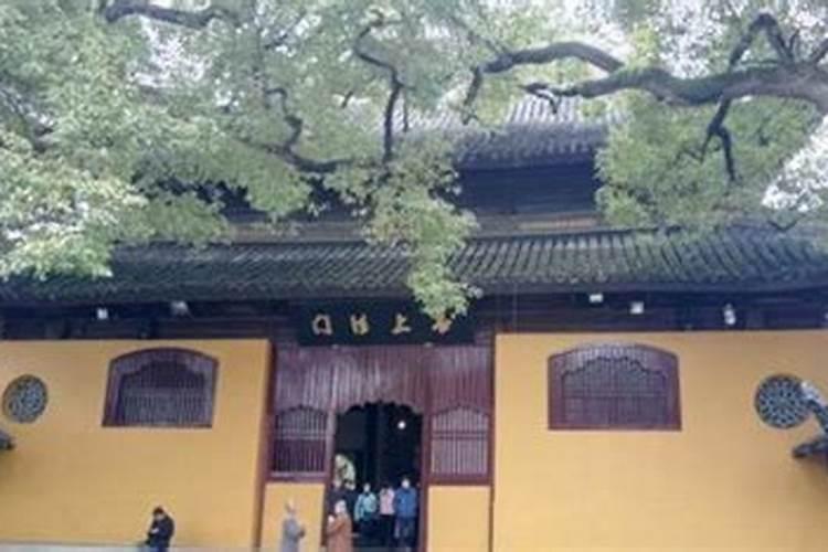 梦到欠别人钱有什么预兆