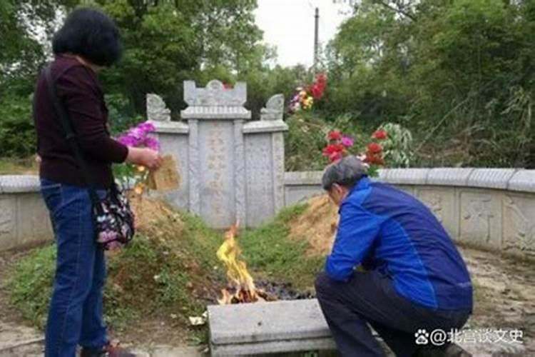 生肖马的命运不同季节出生的属马人命运