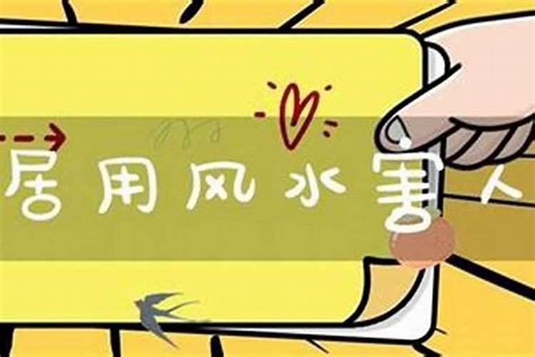 88年的龙2025年运势怎么样