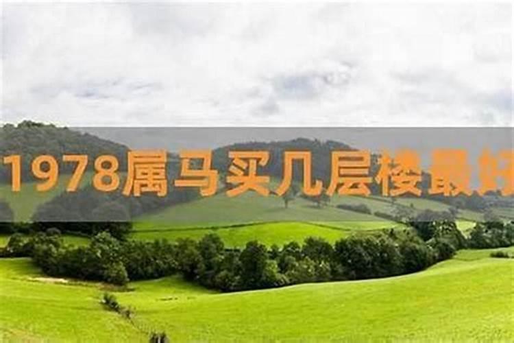 78年属马男人2024年运势如何