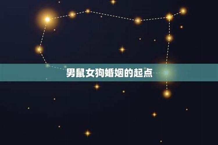 82年狗人一生三次婚姻1982年属狗的桃花劫是谁