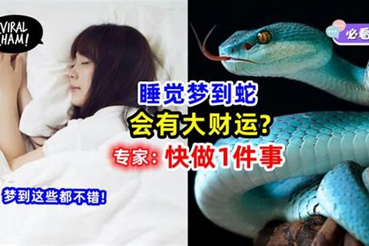 梦见蛇的心理学解释