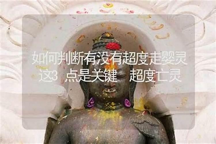 女人梦见遍地都是红薯有何寓意