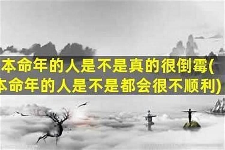 92年猴2025年运势完整版