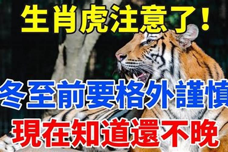 梦见进入墓室有什么征兆