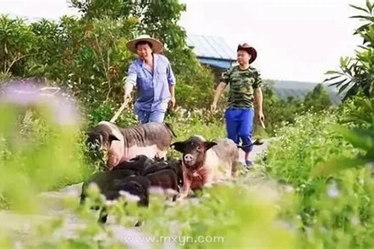 梦见死去的爷爷奶奶做饭给我吃
