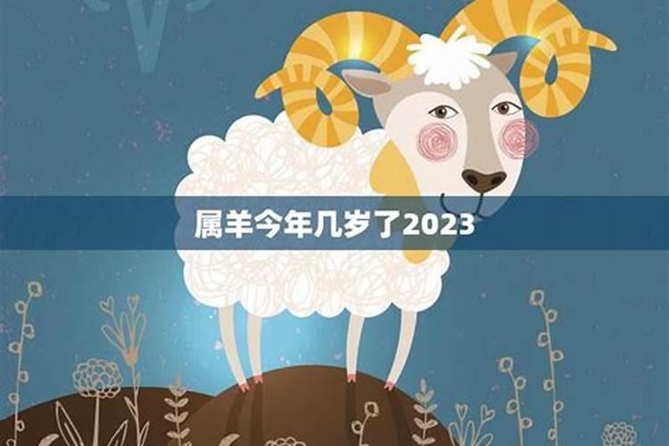 生肖羊1991年出生2025几岁了