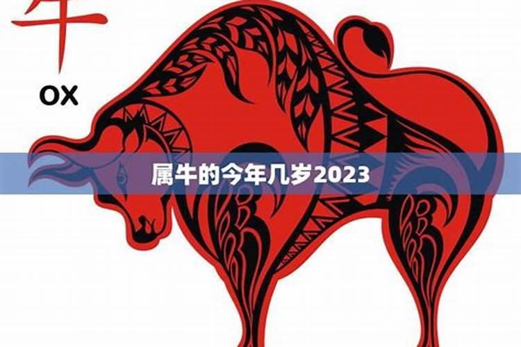 91年属什么生肖多少岁