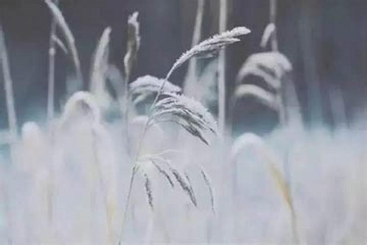 床头朝哪个方向财运好,怎么摆放旺财？