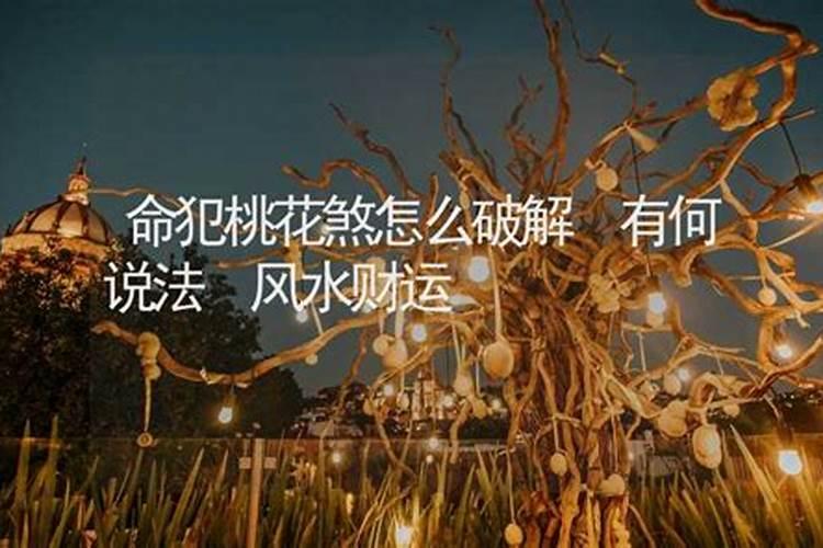 梦见追牛是什么意思？