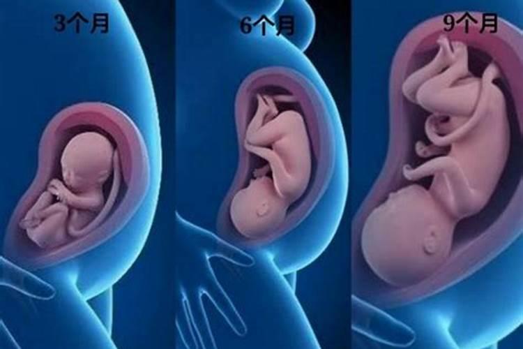 梦到女朋友怀孕了是什么预兆