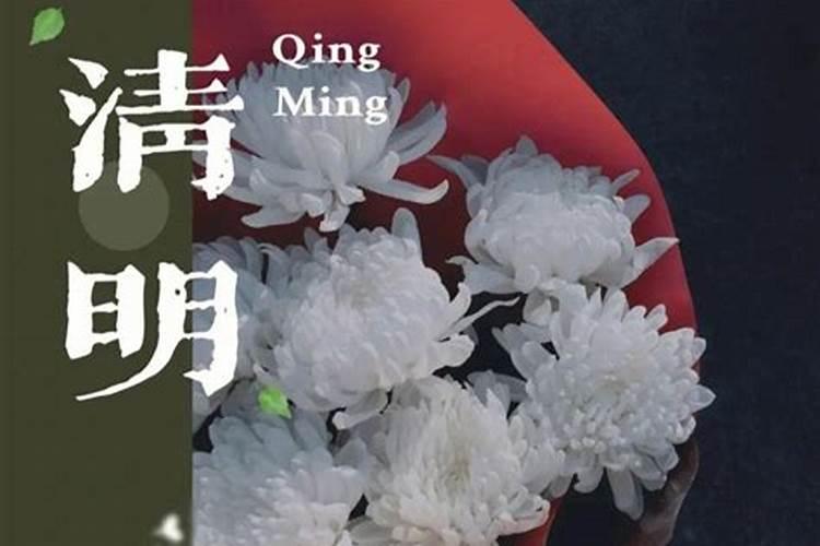 属马和属狗的合不合