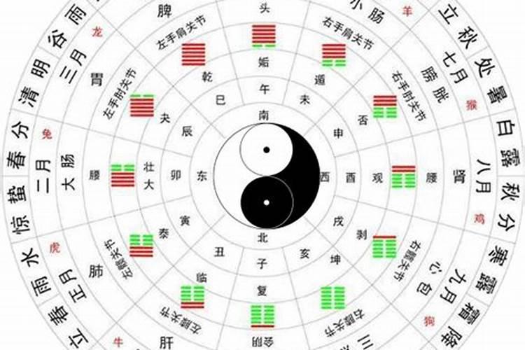 梦见女同事怀孕了什么意思？