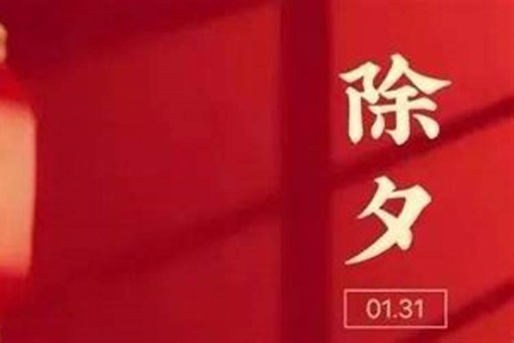属猪的人终身的命运天生好财运事业不俗？