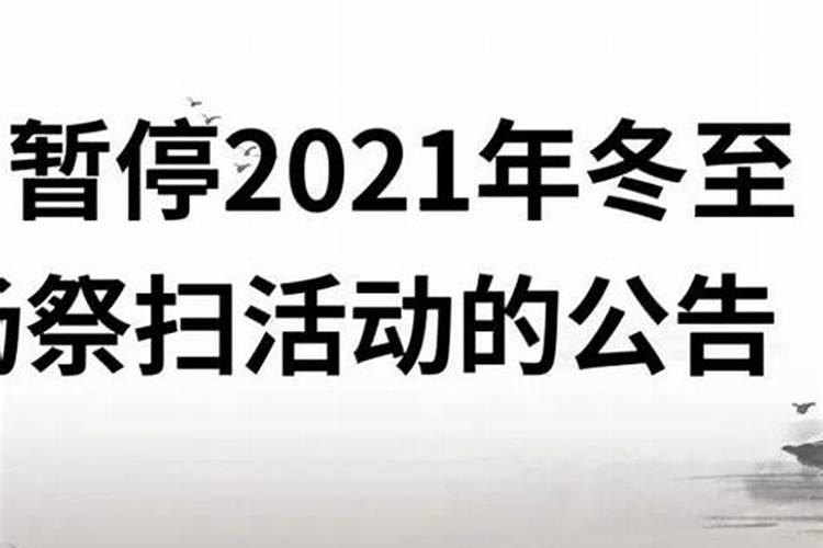 家居家里摆什么花防小人