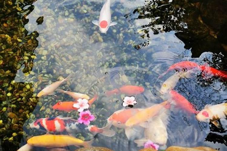 梦见波涛汹涌的湖水的预兆