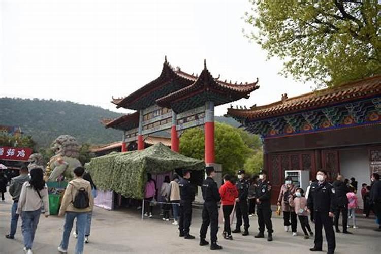 清明节用啥煮鸡蛋