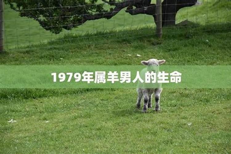 如何训练孩子专注力