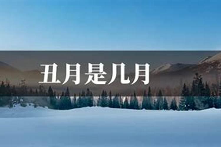 癸卯日柱最忌几月生