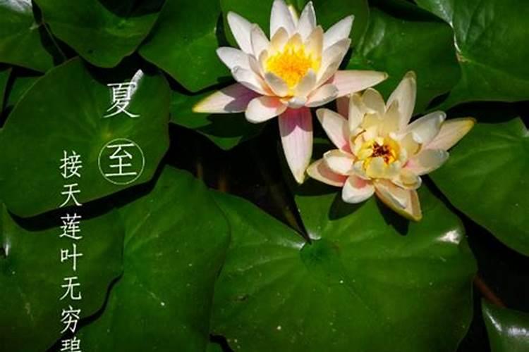 梦见孩子丢了到处寻找,又找到了