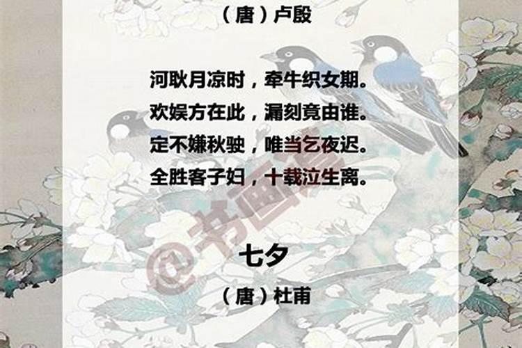 女人梦见猫咬手是吉兆