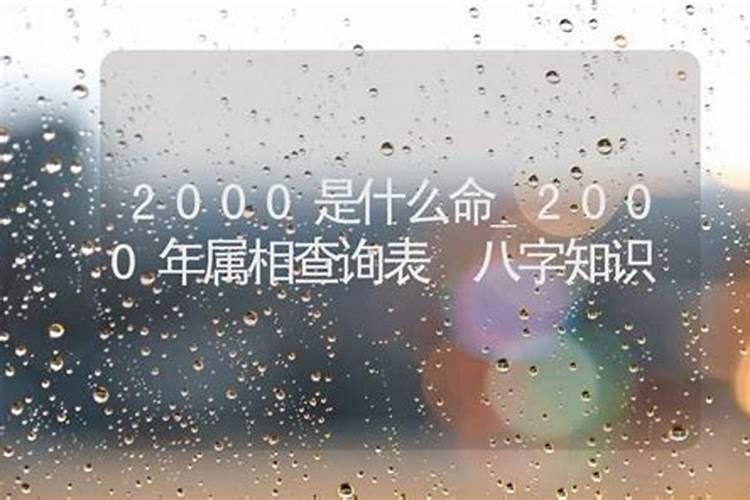 八字中地支藏干推断命主运势旺衰时运有哪些技巧